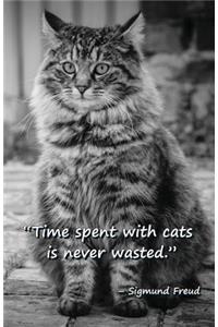 Time spent with cats is never wasted