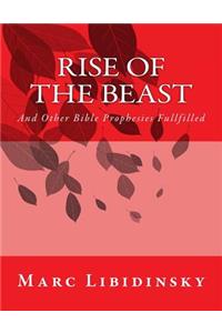 Rise of The Beast