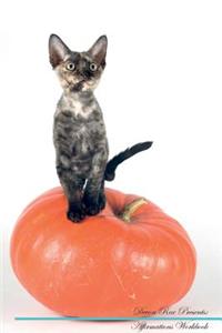 Devon Rex Affirmations Workbook Devon Rex Presents