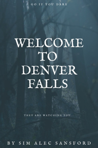 Welcome to Denver Falls