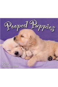 2019 Pooped Puppies Boxed Daily Calendar: By Sellers Publishing