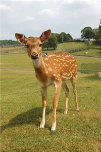 The Sika Deer Journal