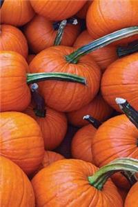 Pumpkins Galore