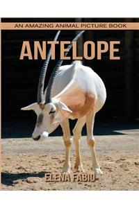 Children's Book: An Amazing Animal Picture Book about Antelope for Kids