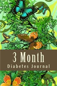 3 Month Diabetes Journal