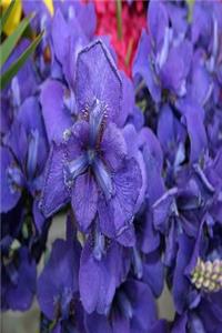 Floral Journal Purple Iris With Dew