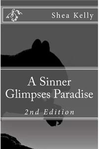 A Sinner Glimpses Paradise