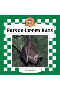Fringe-Lipped Bats