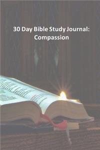 30 Day Bible Study Journal
