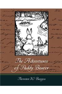 Adventures of Paddy Beaver
