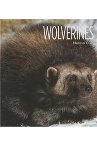 Wolverines
