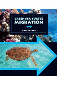 Green Sea Turtle Migration