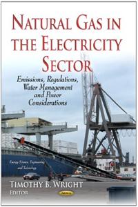 Natural Gas in the Electricity Sector