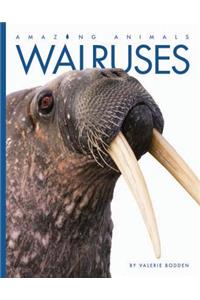 Walruses