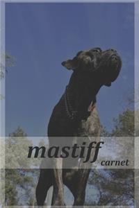 mastiff carnet