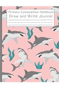shark notebook and space draw