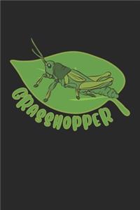 Grasshopper
