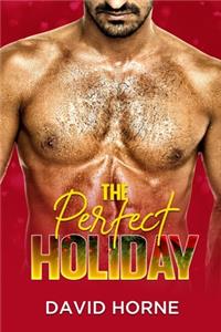 Perfect Holiday
