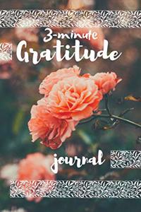 3-minute gratitude journal