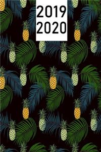2019-2020