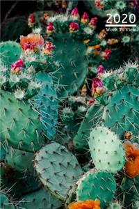 A5 2020 Diary Week To View Paperback Cover With Alternative Design -