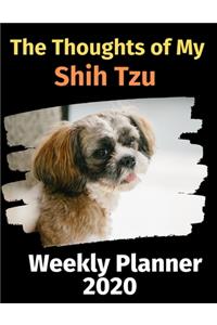 The Thoughts of My Shih Tzu