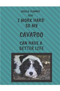 Cavapoo Weekly Planner 2020