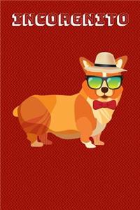 Incorgnito
