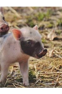Piglet Notebook Large Size 8.5 x 11 Ruled 150 Pages Softcover