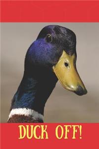 Duck Off