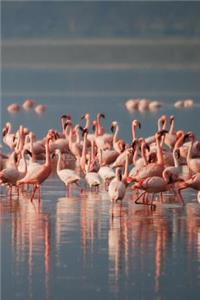 Flamingo Notebook - Journal Gift for Cute Animal Lovers