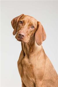 Vizsla Dog Notebook