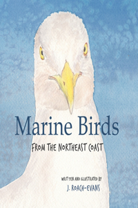 Marine Birds