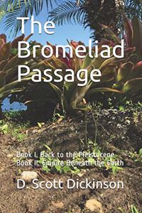 The Bromeliad Passage