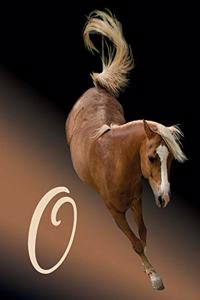 Horse Initial 'o' Monogram Notebook