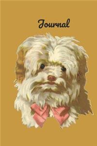 Journal