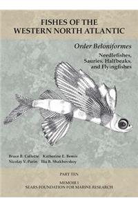 Order Beloniformes: Needlefishes, Sauries, Halfbeaks, and Flyingfishes