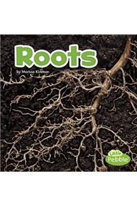 Roots
