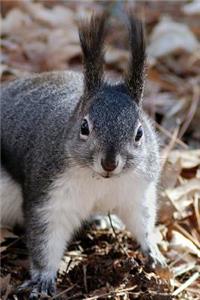Frightened Squirrel Notebook