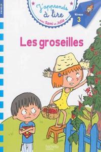 Sami Et Julie Cp Niveau 3 Les Groseilles