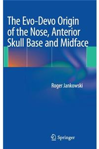 Evo-Devo Origin of the Nose, Anterior Skull Base and Midface