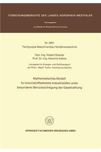 Mathematisches Modell für brennstoffbeheizte Industrieöfen unter besonderer Berücksichtigung der Gasstrahlung