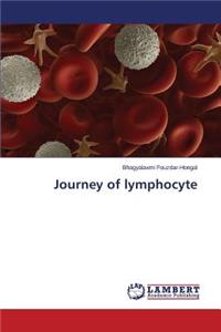 Journey of Lymphocyte
