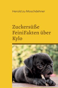 Zuckersüße FeiniFakten über Kylo