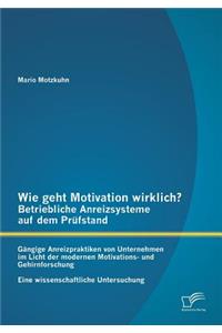 Wie geht Motivation wirklich? - Betriebliche Anreizsysteme auf dem Prüfstand