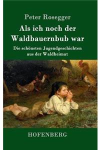 Als ich noch der Waldbauernbub war