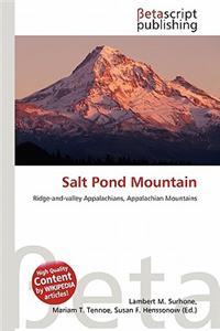 Salt Pond Mountain