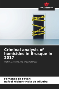Criminal analysis of homicides in Brusque in 2017