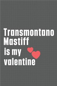 Transmontano Mastiff is my valentine