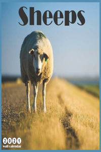 Sheeps 2021 Wall Calendar